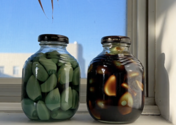 LaBa Garlic Green Pickled Garlic