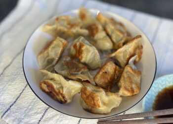 Pan Fried Dumplings
