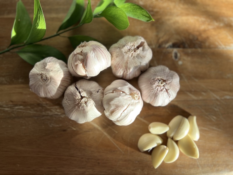 White Purple Garlic for LaBa Garlic