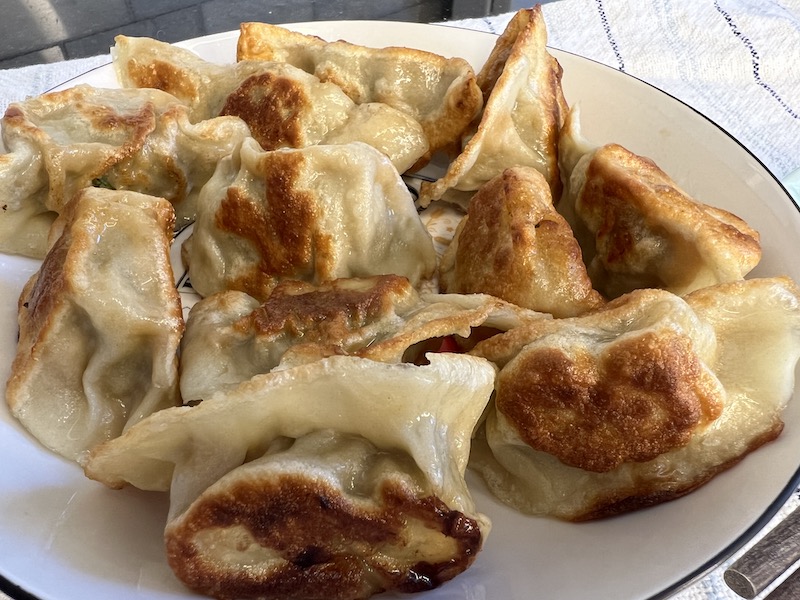 Crispy pan fried dumplings