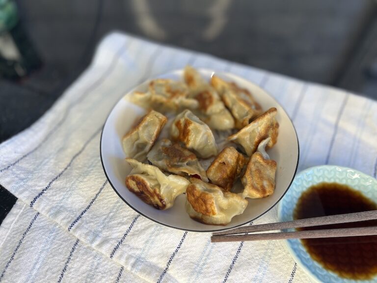 How to Make Pan Fried Dumplings ThousandLemons