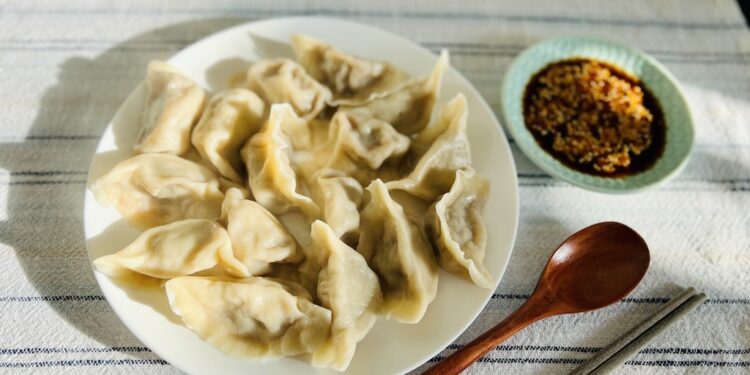 Chinese Beef Dumplings
